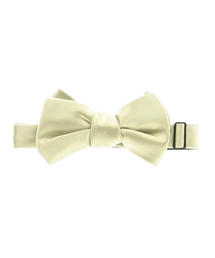 UNITED ARROWS MENS�i���i�C�e�b�h�A���[�Y�����Y�j�́uUADB �T�e�� �{�E�^�C�i���l�N�^�C�j�v