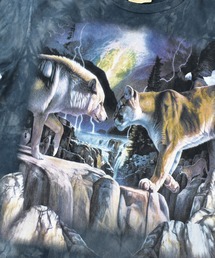 【希少】ザマウンテン 狼 タイダイパーカー フーディ M 古着　ウルフ B03_2721_4e7680d8-2037-4fd2-