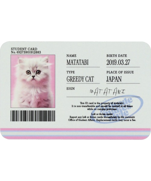 SPINNS（スピンズ）の「免許書オリジナルステッカー（ステッカー/テープ・レディース・A/B/C・ONESIZE）」の2枚目の写真