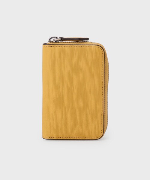 錦鉢①万年青オモト 錦鉢④万年青 外径約11.5センチ