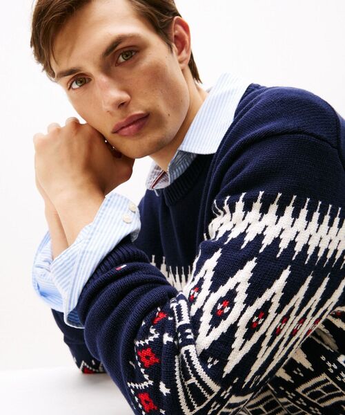 TOMMY HILFIGER（トミーヒルフィガー）の「プレイスフェアアイルコットンクルーネックセーター（ニット/セーター・メンズ・ネイビー/グリーン系その他2・LARGE/MEDIUM/SMALL/X-LARGE）」の8枚目の写真
