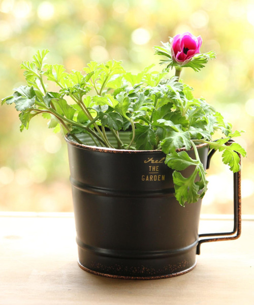 Noir ブリキポット Sサイズ フック マグ フラワーベース Spice Of Life スパイス オブ ライフ のファッション通販 Zozotown