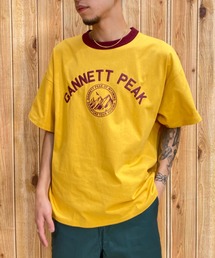 CHAMPION/チャンピオン リンガーT カレッジ風ロゴ/アメカジTシャツ 半袖Tee/USAコットン C3-X311