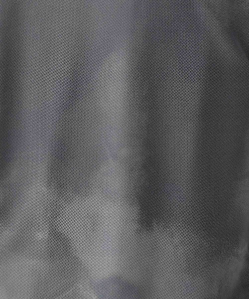 HARE（ハレ）の「ブラーシアーガラプルオーバー(HARE)（Tシャツ/カットソー・メンズ・ブラック/グレー・SMALL/MEDIUM）」の4枚目の写真