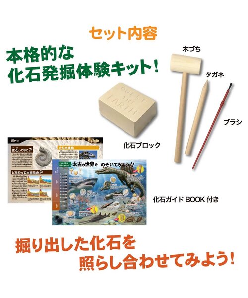 BREEZE（ブリーズ）の「KW 触れる図鑑　化石発掘体験(ﾘﾆｭｰｱﾙ)（おもちゃ・キッズ・マルチ・FREE）」の3枚目の写真