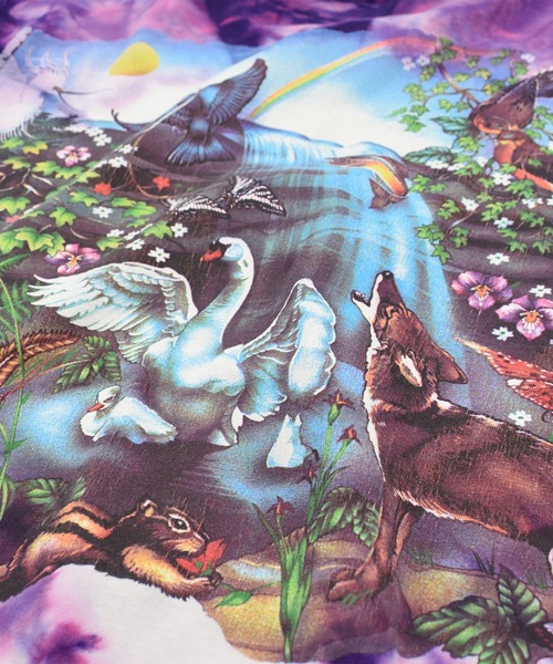 LABORATORY R（ラボラトリーアール）の「【USED】90’s Chapman Graphics タイダイ アニマルTシャツ USA製（Tシャツ/カットソー・メンズ・パープル・X-LARGE）」の3枚目の写真