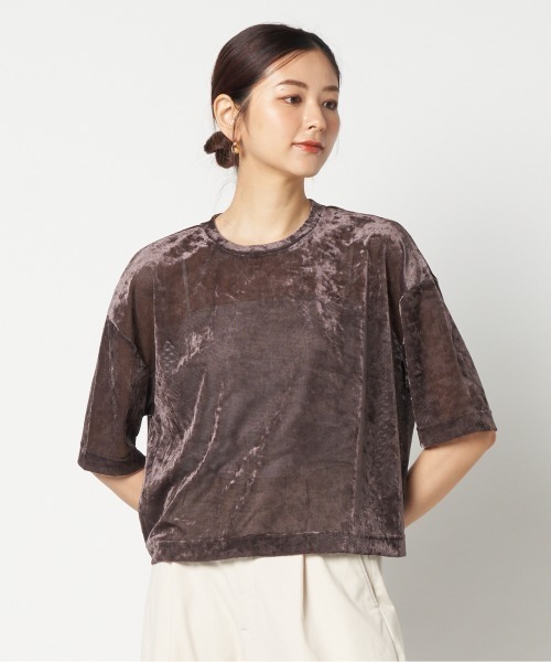 HELIOPOLE（エリオポール）の「SHEER VELOUR TEE（Tシャツ/カットソー・レディース・ダークブラウン/アイボリー/ブルー・38）」の2枚目の写真