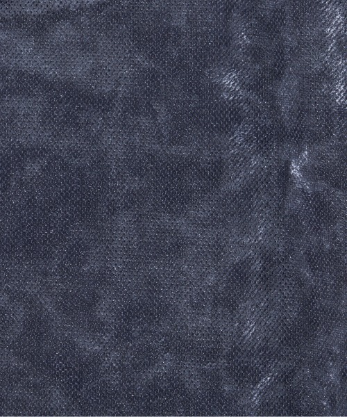 HELIOPOLE(エリオポール)の「SHEER VELOUR TEE(Tシャツ/カットソー・レディース・ダークブラウン/アイボリー/ブルー・38)」の9枚目の写真