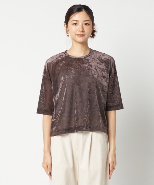 HELIOPOLE(エリオポール)の「SHEER VELOUR TEE(Tシャツ/カットソー・レディース・ダークブラウン/アイボリー/ブルー・38)」の10枚目の写真
