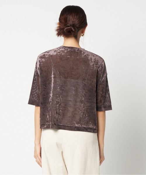 HELIOPOLE(エリオポール)の「SHEER VELOUR TEE(Tシャツ/カットソー・レディース・ダークブラウン/アイボリー/ブルー・38)」の12枚目の写真
