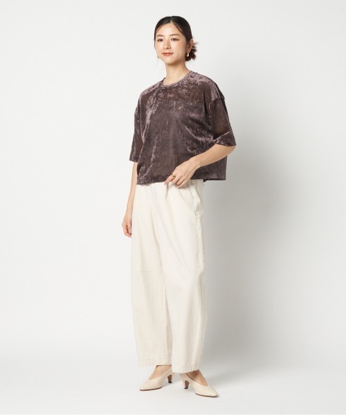 HELIOPOLE(エリオポール)の「SHEER VELOUR TEE(Tシャツ/カットソー・レディース・ダークブラウン/アイボリー/ブルー・38)」の14枚目の写真