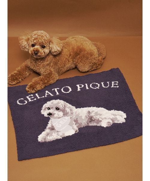 CAT&DOG】ベビモコトイプードル柄ブランケット（その他ペットグッズ