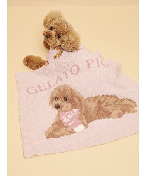 新品同様gelato pique 犬デザイン ブランケット CAT&DOG】ベビモコトイプードル柄ブランケット（その他ペットグッズ