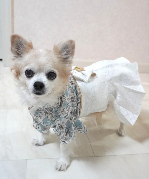 袴風ペットウェア（XS～3L）【ZOZO限定カラー】（ペットウェア）｜SweetMommy（スウィートマミー）