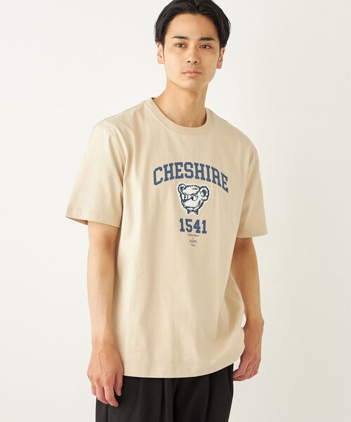 セール】SHIPS Colors:TeddyBear(R) プリント & ステッチ TEE◇（T