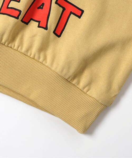 BREEZE（ブリーズ）の「【WEB限定】カラフルビックロゴトレーナー_ジュニア対応（スウェット・キッズ・ブラウン/ピンク/ネイビー/イエロー・120/130/90/140/110/100）」の17枚目の写真