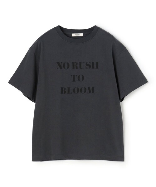 コットンロゴプリント Tシャツ（Tシャツ/カットソー）｜MACPHEE
