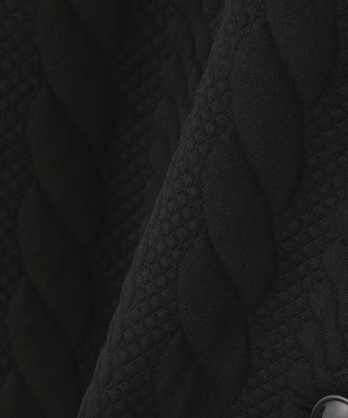 N.（N. Natural Beauty Basic）（エヌエヌナチュラルビューティーベーシック）の「◆膨れジャガードブルゾン（ブルゾン・レディース・ブラック/クリーム・MEDIUM）」の14枚目の写真