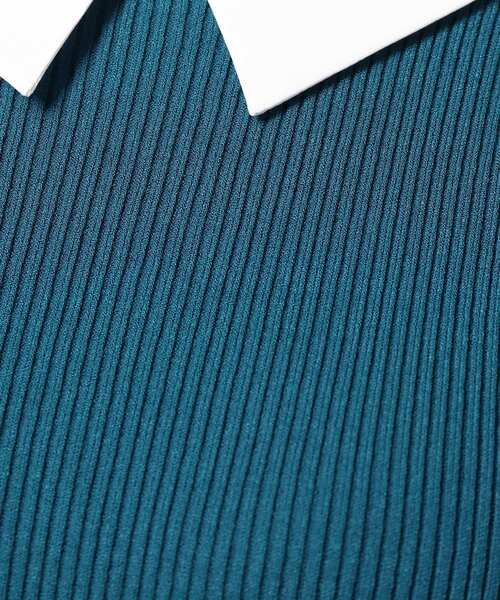 DRESSTERIOR(ドレステリア)の「◆【2WAY/CLASSY.12月号掲載】】デタッチャブルカラーリブニット(ニット/セーター・レディース・ブラック/ベージュ/ブルー/ボルドー・38/36)」の22枚目の写真