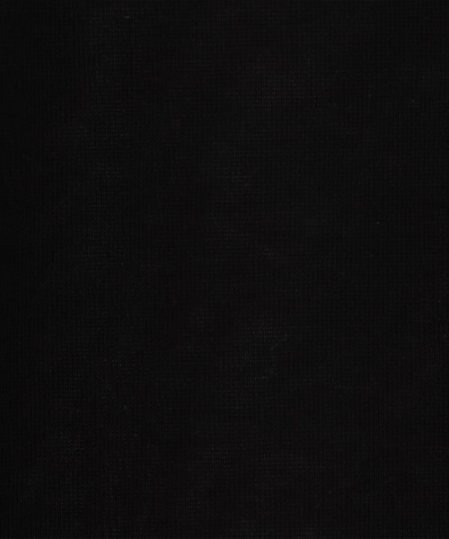 EDITION(エディション)の「シアーフライス ハーフスリーブトップス(Tシャツ/カットソー・レディース・ホワイト/ブラック・FREE)」の13枚目の写真