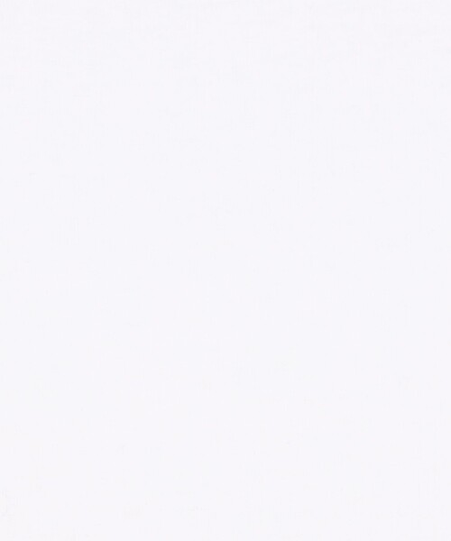 EDITION(エディション)の「シアーフライス ハーフスリーブトップス(Tシャツ/カットソー・レディース・ホワイト/ブラック・FREE)」の12枚目の写真