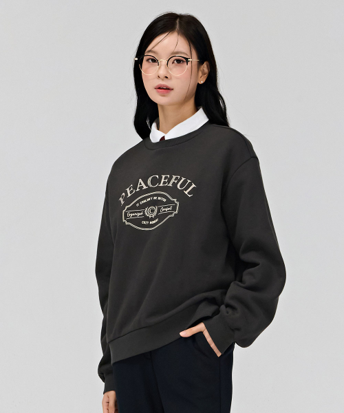 CHASECULT(チェイスカルト)の「女性レタリング刺繍裏起毛スウェットTシャツ-チャコール(スウェット・レディース・チャコールグレー・90/85)」の2枚目の写真