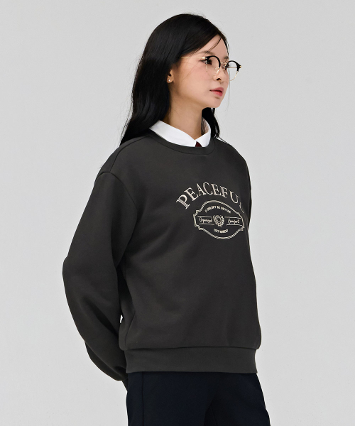CHASECULT(チェイスカルト)の「女性レタリング刺繍裏起毛スウェットTシャツ-チャコール(スウェット・レディース・チャコールグレー・90/85)」の3枚目の写真