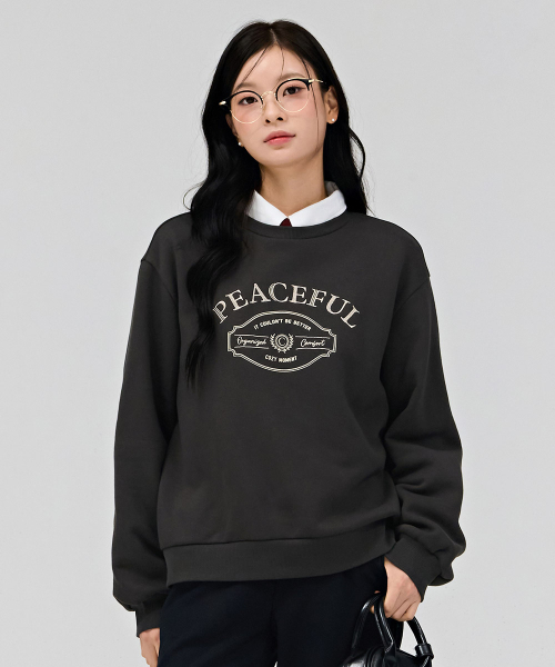 CHASECULT(チェイスカルト)の「女性レタリング刺繍裏起毛スウェットTシャツ-チャコール(スウェット・レディース・チャコールグレー・90/85)」の4枚目の写真