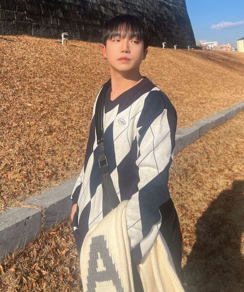 SELITIO(セレティオ)の「アーガイルVネックソフトニットネイビー(ニット/セーター・メンズ・ネイビー・MEDIUM/LARGE/X-LARGE)」の10枚目の写真