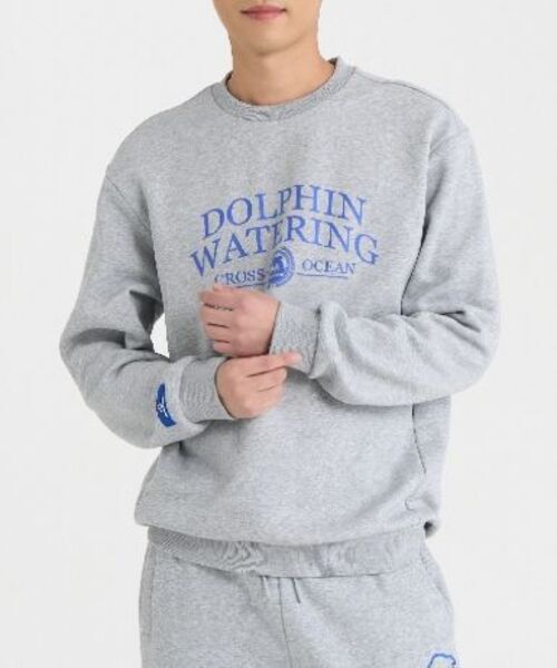 DOLPHIN WAVE APPAREL(ドルフィンウェーブアパレル)の「ドルフィンウォータリングエッセンシャル裏起毛スウェットシャツメランジグレー(スウェット・メンズ・その他・MEDIUM/LARGE/X-LARGE)」の7枚目の写真