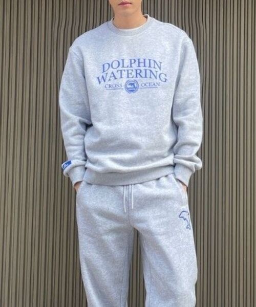 DOLPHIN WAVE APPAREL(ドルフィンウェーブアパレル)の「ドルフィンウォータリングエッセンシャル裏起毛スウェットシャツメランジグレー(スウェット・メンズ・その他・MEDIUM/LARGE/X-LARGE)」の5枚目の写真