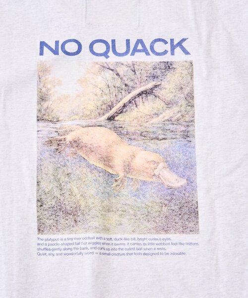 Franklin Climbing（フランクリンクライミング）の「【Franklin Climbing】ヴィンテージグラフィックTEE（Tシャツ/カットソー・メンズ・ライトグレー/ホワイト/ミント/チャコールグレー・LARGE/MEDIUM）」の7枚目の写真