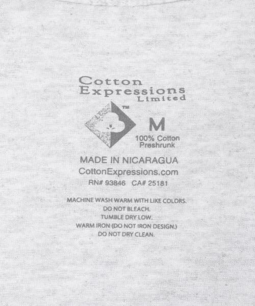 Cotton Expressions(コットンエクスプレッションズ)の「Cotton Expressions EVOLUTION(Tシャツ/カットソー・メンズ・グレー・MEDIUM/X-LARGE/LARGE)」の17枚目の写真