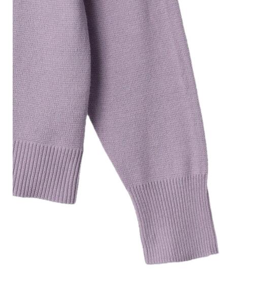 Green　Parks（グリーンパークス）の「Z ハーフミラノリブニットプルオーバー（ニット/セーター・レディース・ネイビー/オフホワイト/ミント/ラベンダー・FREE）」の19枚目の写真