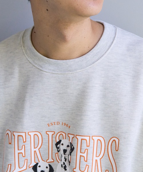 DISCOAT（ディスコート）の「【WEB限定】アニマルグラフィックビッグスウェット《ユニセックス》（スウェット・レディース・ライトグレー/ダークグリーン/ライトベージュ・FREE）」の20枚目の写真