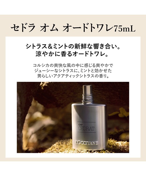 L'OCCITANE（ロクシタン）の「セドラ オム オードトワレ 75mL（香水