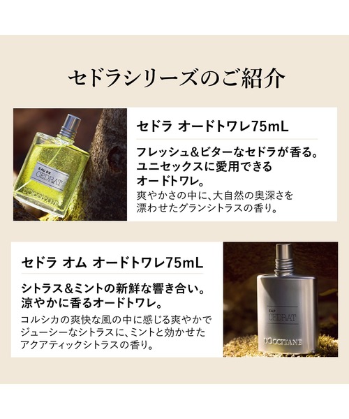 L'OCCITANE（ロクシタン）の「セドラ オム オードトワレ 75mL（香水