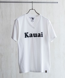 T&C（タウン＆カントリー）の「T&C Surf Designs ハワイVネックSST（Tシャツ/カットソー）」