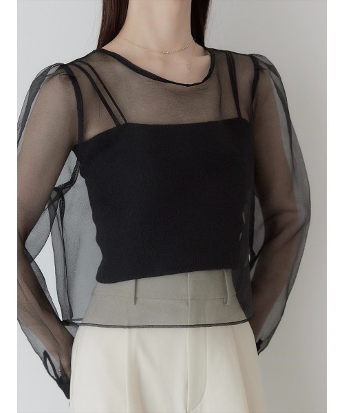 amel（エイメル）の「パフスリーブシアーブラウス/ブラック（シャツ/ブラウス・レディース・ブラック・FREE）」の2枚目の写真