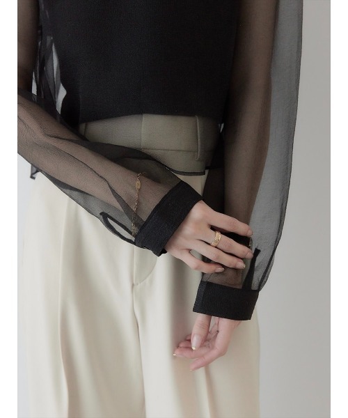 amel（エイメル）の「パフスリーブシアーブラウス/ブラック（シャツ/ブラウス・レディース・ブラック・FREE）」の3枚目の写真