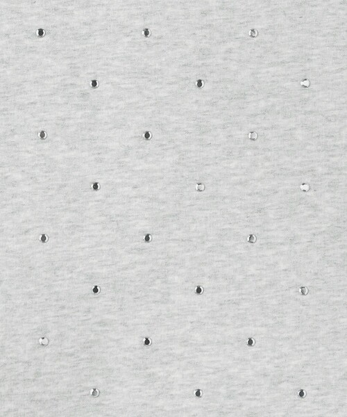 BEAUTY&YOUTH UNITED ARROWS（ビューティーアンドユースユナイテッドアローズ）の「裏毛 ラインストーン プルオーバー（スウェット・レディース・グレー/ブラック・FREE）」の17枚目の写真
