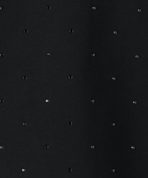 BEAUTY&YOUTH UNITED ARROWS（ビューティーアンドユースユナイテッドアローズ）の「裏毛 ラインストーン プルオーバー（スウェット・レディース・グレー/ブラック・FREE）」の21枚目の写真