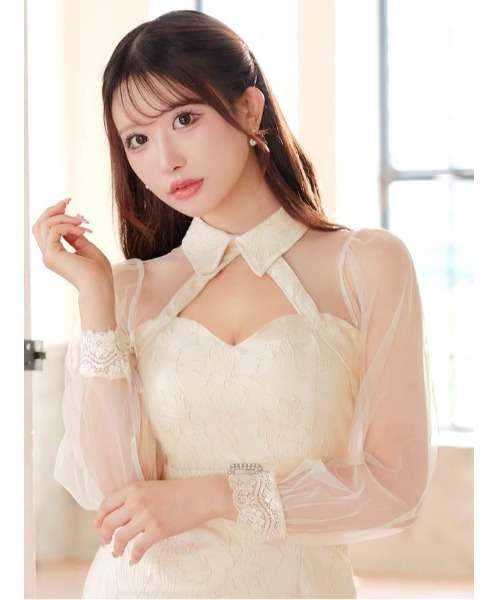 DAISY ALLIANCE 全巻セット&more キュウソネコカミ、新曲「ネコカミたい」明日6/19配信リリース