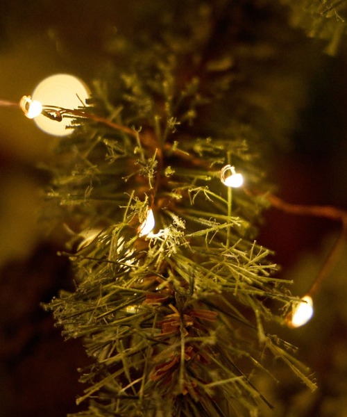 niko and...（ニコアンド）の「【2025Xmas】チェーンライト(Ａ)/全長360cm（インテリア雑貨・レディース・その他1・0）」の2枚目の写真