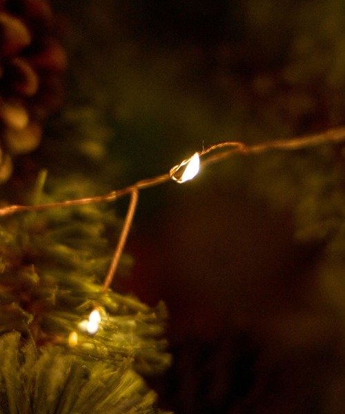 niko and...（ニコアンド）の「【2025Xmas】チェーンライト(Ａ)/全長360cm（インテリア雑貨・レディース・その他1・0）」の4枚目の写真