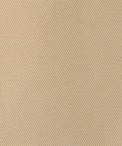 EDITION（エディション）の「コンパクトギャバ イージーチノパンツ（チノパンツ・レディース・グリーン系その他/ベージュ・36/34）」の11枚目の写真