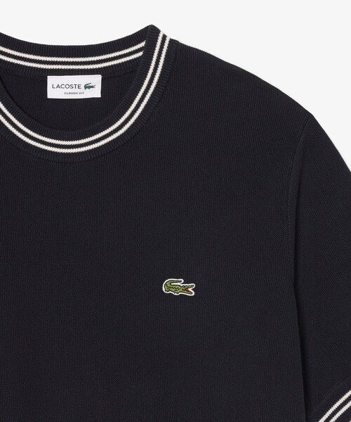 セール】ハイゲージニット配色ラインTシャツ（ニット/セーター