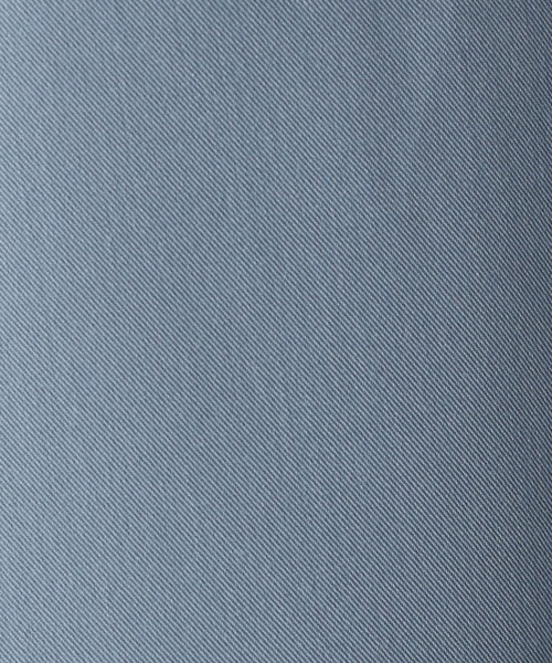 179/WG（イチナナキュウダブルジー）の「後ろ刺繍ボーリングシャツ（シャツ/ブラウス・レディース・グリーン/ブルー/ブラック/ベージュ・MEDIUM）」の11枚目の写真