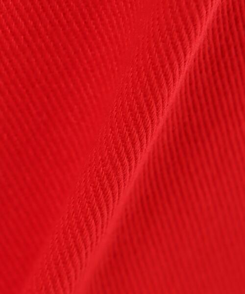 INGNI（イング）の「ハイウエストデニムパンツ（デニムパンツ・レディース・アイボリー/ブルー系その他3/グレー/レッド/グリーン・FREE）」の9枚目の写真