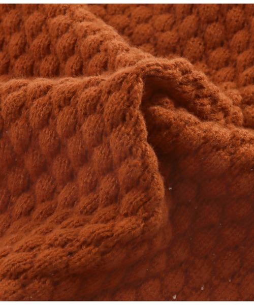 anap mimpi（アナップミンピ）の「深Vネックポップコーンニットプルオーバー（ニット/セーター・レディース・キャメル/レッド/グレイッシュベージュ/ターコイズブルー・FREE）」の20枚目の写真